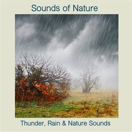 Cover image for Thunder, Rain & Nature Sounds