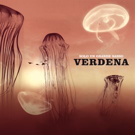 Cover image for Solo un grande sasso