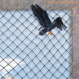 Cover image for The Net