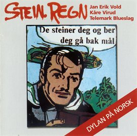 Cover image for Stein Regn