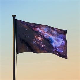 Cover image for Stars