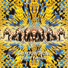 Cover image for Shadow Run