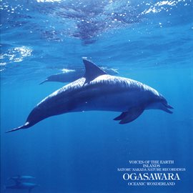 Imagen de portada para Voices Of The Earth Islands Nature Recordings Ocean Wonderland Ogasawara