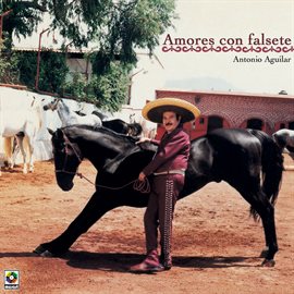 Imagen de portada para Amores Con Falsete