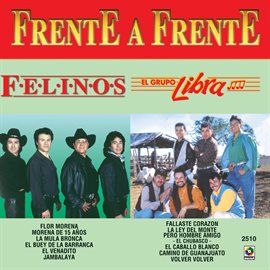 Cover image for Frente A Frente