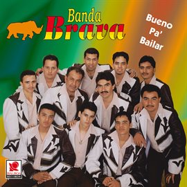 Cover image for Bueno pa' Bailar