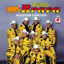 Cover image for Nuestra Canción