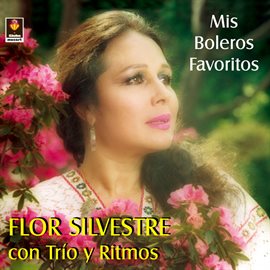 Cover image for Mis Boleros Favoritos