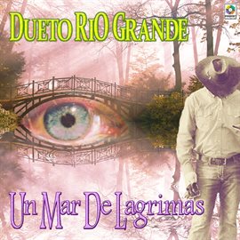 Cover image for Un Mar De Lágrimas