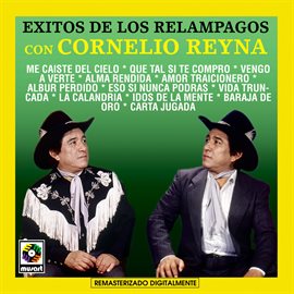 Cover image for Éxitos De Los Relampagos