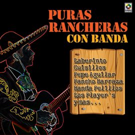 Cover image for Puras Rancheras Con Banda