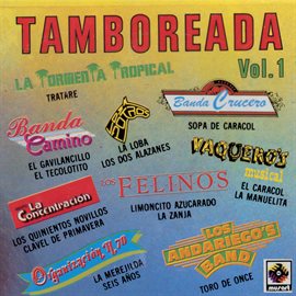 Cover image for Tamboreada, Vol. 1