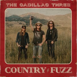 Cover image for COUNTRY FUZZ
