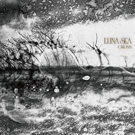 Cover image for Cross
