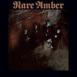 Cover image for Rare Amber
