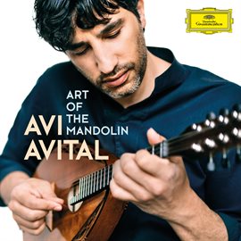 Imagen de portada para Art of the Mandolin