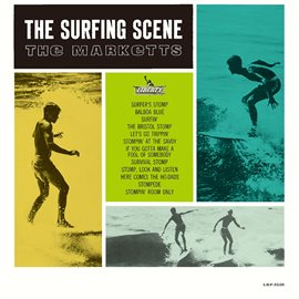 Imagen de portada para The Surfing Scene