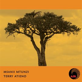 Cover image for Terry Atieno
