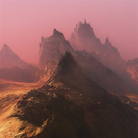 Cover image for The Order Of Nature