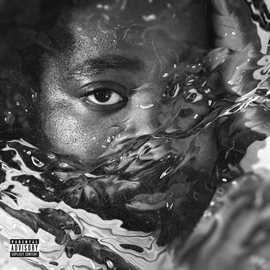 Imagen de portada para Surfacing