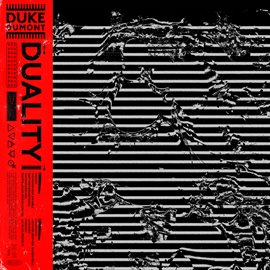 Cover image for Duality