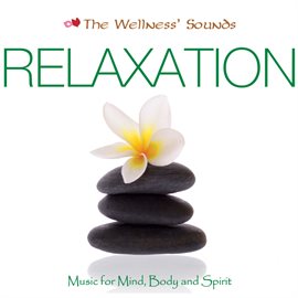 Cover image for The Wellness' Sounds: Music for Mind, Body & Spirit – Relaxation