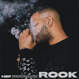 Cover image for Rook