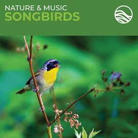 Cover image for Nature & Music: Songbirds