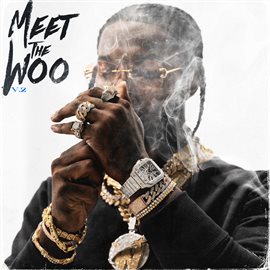 Cover image for Meet The Woo 2
