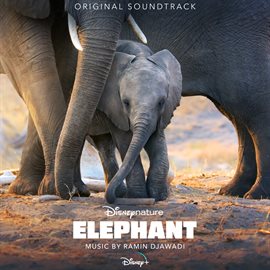 Imagen de portada para Elephant