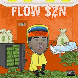 Cover image for Flow $ZN
