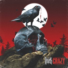 Cover image for Crazy
