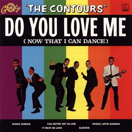 Cover image for Do You Love Me (Now That I Can Dance)