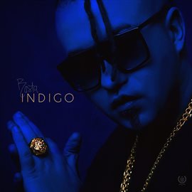 Cover image for Indigo