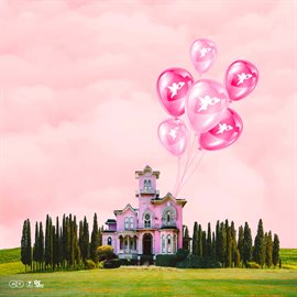 Cover image for This Is Romantic House