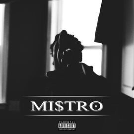Cover image for Mi$tro