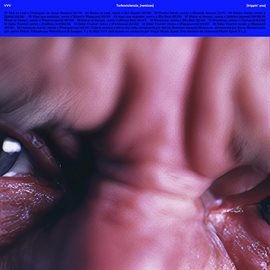 Cover image for Turboviolencia_remixes
