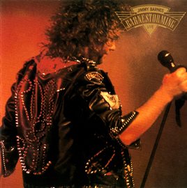 Cover image for Barnestorming