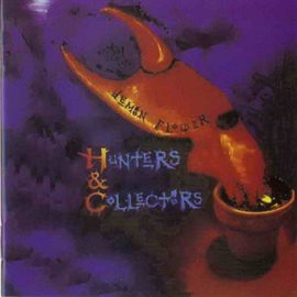 Cover image for Demon Flower