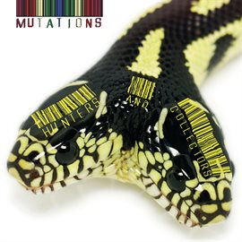 Cover image for Mutations