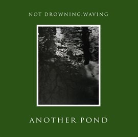 Cover image for Another Pond
