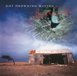 Cover image for Cold And The Crackle