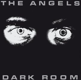 Cover image for Dark Room
