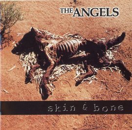 Cover image for Skin And Bone