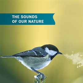 Cover image for Birds and Sounds of Our Nature