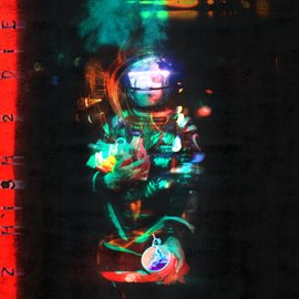 Imagen de portada para 2 HIGH 2 DIE