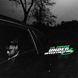 Imagen de portada para Under Investigation 3