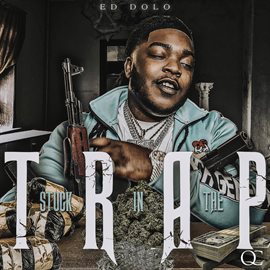 Cover image for Stuck in the Trap
