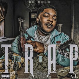Cover image for Stuck in the Trap