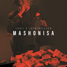 Cover image for Mashonisa